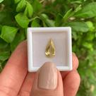Berilo Amarelo Lágrima 2,01ct