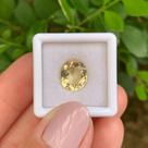 Berilo Amarelo Oval 3,55ct Berilo Amarelo Oval 3,55ct