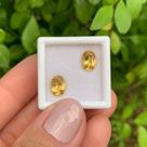 Berilo Amarelo Oval Par 2,26ct Berilo Amarelo Oval Par 2,26ct