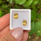 Berilo Amarelo Oval Par 2,42ct Berilo Amarelo Oval Par 2,42ct