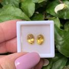 Berilo Amarelo Oval Par 2,58ct Berilo Amarelo Oval Par 2,58ct