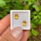 Berilo Amarelo Oval Par 2,67ct Berilo Amarelo Oval Par 2,67ct