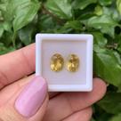 Berilo Amarelo Oval Par 3,64ct