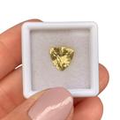 Berilo Amarelo Trillion 2,21ct