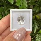 Berilo Incolor Oval 5,95ct