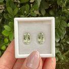 Berilo Verde Oval Par 5,11ct