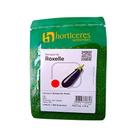Berinjela Híbrida Roxelle 1000 Sem Horticeres Fruto 20 À 22 Cm Vigoroso