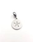 Berloque Medalha com Estrela Micro Zircônia Cristal Aço Inox