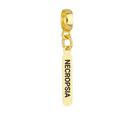 Berloque Plaquinha Necropsia Banhado a Ouro 18k