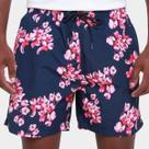 Bermuda Colcci Estampada Masculina