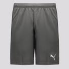 Bermuda Puma Teamrise Cinza