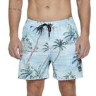 Bermuda Quiksilver Everyday Island Scenic 17" SM25 Azul