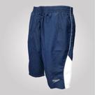Bermuda Speedo Team Collection