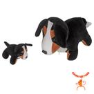 Bernese Grávida com 1 Filhote