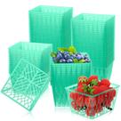 Berry Baskets Yiyiring Pint Size Plastic 250 unidades verdes