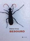 Besouro
