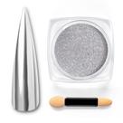 Besouros em pó para unhas Gel Polish Sliver Chrome 1g