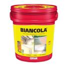 Biancola Adesivo P/ Reboco E Gesso Ciplak 18Kg Sika