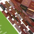 Bible Tabs SMART MAGUS, estampa grande, laminada para mulheres, dourada