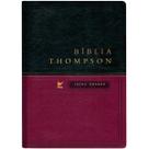 Bíblia de Estudo Thompson AEC Letra Grande Capa Luxo Verde e Vinho