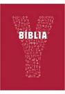 Biblia Jovem - Youcat 1 Ed 2017 - PAULUS