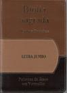 Biblia jumbo Luxo com harpa Tricolor com indice cpp