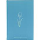 Bíblia Naa, Light Blue, Capa Dura: Nova Almeida Atualizada (Naa) - Sbb