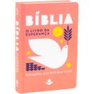 Bíblia o livro da esperança