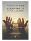 Bíblia prazer da palavra - a história de jesus segundo os evangelhos