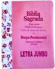 Bíblia Sagrada com Harpa Pentecostal - Edição de Promessas - Letra Jumbo