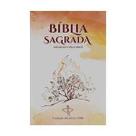 Bíblia Sagrada iniciação à vida cristã Bíblia Sagrada iniciação à vida cristã