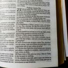 Biblia sagrada jesus vive cristã leao judá sk