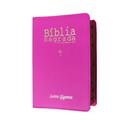 Bíblia sagrada letra gigante ntlh capa de luxo pink com índice com auxílios sbb