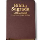 Biblia Sagrada Letra Jumbo ARC com Harpa Palavras de Jesus em Vermelho Luxo Marrom