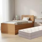 Bicama Solteiro 100% MDF Super Reforçada Com Cama Auxiliar E 2 Colchões D33 Premium Para Máximo Conforto - Bicama Solteiro 100% MDF Super Reforçada Com Cama Auxiliar E 2 Colchões D33 Premium Para Máximo Conforto -
