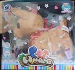Bichinho Cachorro Interage Pet Home