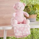 Bichinho de Pelúcia Carinhoso New com Manta Bebê 100x75cm Rosa Urso