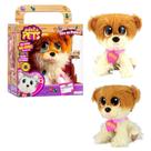 Bicho Ursinho De Pelúcia Adota Pets Com Acessórios Multikids