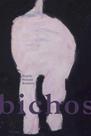 Bichos + Os cágados