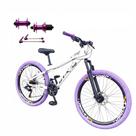 Bicicleta 26 Gta Rebel 24v Freeride Downhill Cubo k7 Barulhento Aro Vmaxx Pneu Flame Freio a Disco