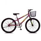 Bicicleta Allegra City Aro 24 Sem Marchas Freios V-brake E Cestão Colli Roxo