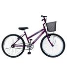 Bicicleta Aro 24 Femenina/Menina Juvenil Cestinha Freios V Brake Rodas Alumínio Aero