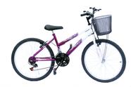 Bicicleta aro 24 onix fem 18m convencional viol