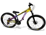 Bicicleta Aro 26 PRO-X Rustic PRO Camaleão Freeride Downhill 21v Freio a Disco Aro Vmaxx Pneu Flame