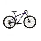 Bicicleta Aro 29 Absolute Nero 5 Aluminio 12v Garfo Com Trava K7 Freios Hidráulicos Kit 1x12 - Roxo
