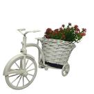 Bicicleta com Vaso e Buque de Flores Margaridas