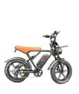 Bicicleta Elétrica Cicloarte 1000W - 2 Lugares - H9