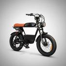 Bicicleta Elétrica Cicloarte 1000W - R6 MAX