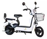 Bicicleta Elétrica Turbo 500w Recarregável 48v Smartway