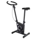 Bicicleta Ergométrica Vertical Dream Fitness Slim EX 450 Uso Residencial Cor Chumbo